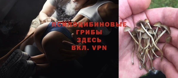 стаф Алексеевка
